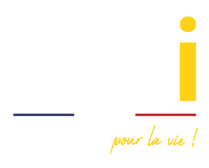 MT International